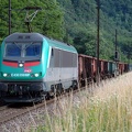 36358.jpg
