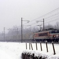 50320056574.jpg