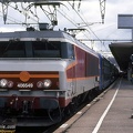 50320066549.jpg