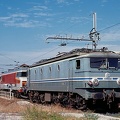 7145.jpg