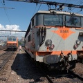 BB_8565_S_21_juillet_2006.jpg