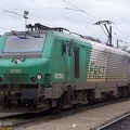 100B8133.jpg