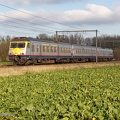 SNCB_AM80-411_2009-11-08_Petegem-aan-de-Schelde-Belgique_VSLV.jpg
