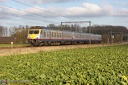 SNCB AM 80-411 à Petegem aan de Schelde