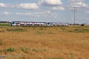 UM de BiBis Transiliens à  Verneuil l'Etang