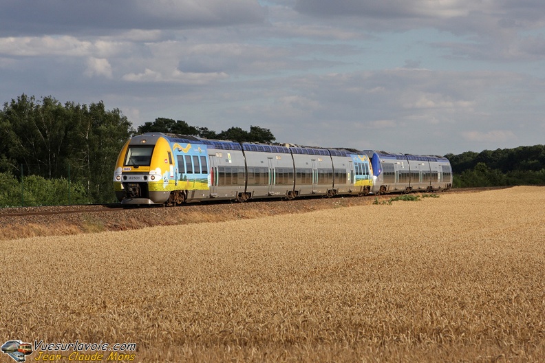 SNCF_B82501-502-X76699-700-UM_2008-07-20_Presles-77_VSLV.jpg