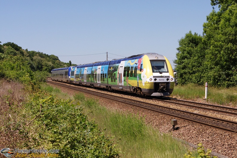 SNCF_B82513-514-5xx-5xx_2009-05-30_Villepatour-77_VSLV.jpg