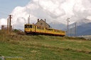 Canari en Cerdagne