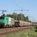 IMG_2552.jpg