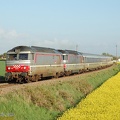 Dsc_0137.jpg