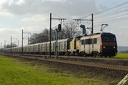 BB26023, V211 et Baygon vert