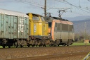 BB26023, V211 et Baygon vert