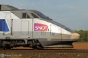 TGV Sud Est 48