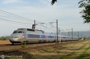 TGV Sud Est 41