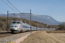 TGV Sud Est 77 et 25