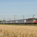 080722_DSC_9116.jpg