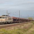 DSC_0056_-_2008-10-18_-_Leyment_-_BB_7432_et_tremies.jpg