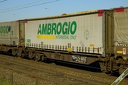 Container Ambrogio