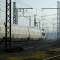 _DSC9020.jpg