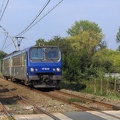 Z7325_1.jpg