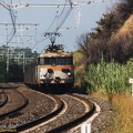 9613.jpg