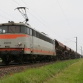 IMG_6012.jpg