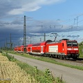 +DB_146-116_2011-06-18_Niederschopfheim-Allemagne_VSLV copie.jpg