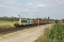 SNCB 1307 et Fret à Hochfelden