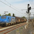 +Regiorail_27137_2014-08-22_Rivesaltes-66_IDR.jpg