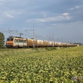 +SNCF_26119_2014-08-18_Saint-Martin-Lalande-11_IDR.jpg