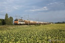 BB 26119 et Train Frigorifique à Saint-Martin-Lalande