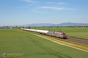 BB 75017 et 75015 Linéas et Gaziers à Sand