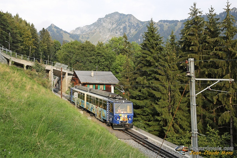 +MVR_Bhe-4-8-302_2020-09-10_Caux-Suisse_IDR.jpg