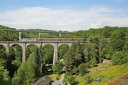 Limousin