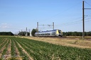 BGC  81795/796 Bourgogne/Franche-Comté à Montbellet