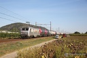 BB 26068 SNCF et Citernes à Andancette