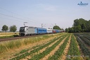 Vectron 6193 088 Railpool et Alpen-Sylt à Kenzingen