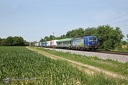 Vectron  6193-496 BLS et Rola à Buggingen