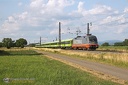 Taurus 242 502 Hectorrail et Flixtrain à Hohberg