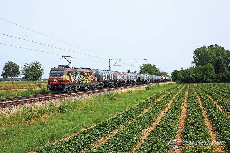 +HSL_185-602_2023-06-27_Kenzingen-Allemagne_VSLV.jpg