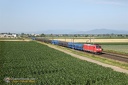 BR  185 030 DB et Porte-Autos à Sand
