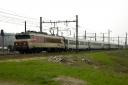 CC6561 et corails