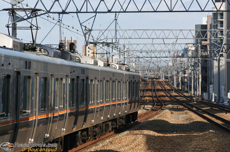 IMG_0473.jpg