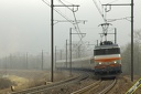 BB22307 et corails