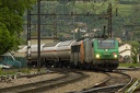 Prima et Sybic