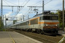 BB22311 et corail