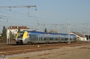 B 81755/56