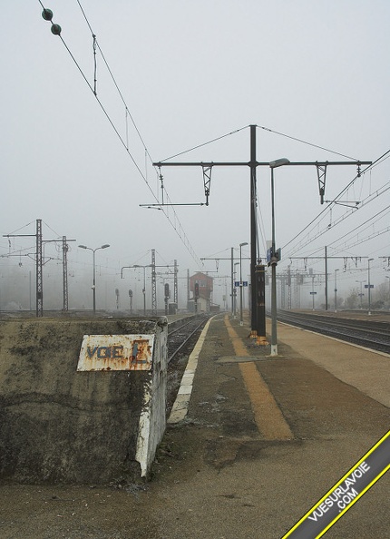 D50_DSC0112.jpg