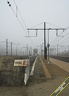 Dans la brume