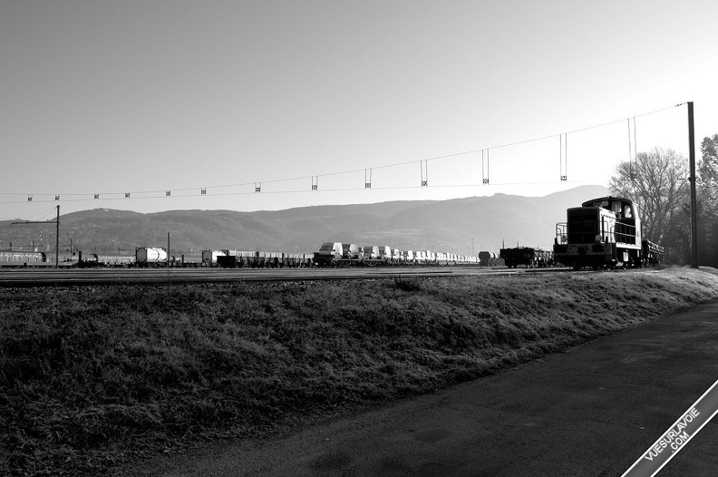 D50_DSC0229.jpg